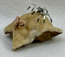 Load image into Gallery viewer, Calcite with Tree Agate Spiderling