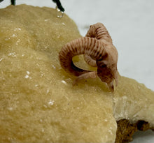 Load image into Gallery viewer, Calcite with Tree Agate Spiderling