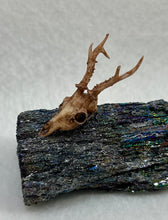 Load image into Gallery viewer, Carborundum Display with Green Jade Spiderling