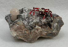 Load image into Gallery viewer, Crazy Lace Display with Ruby Chalcedony Spiderling