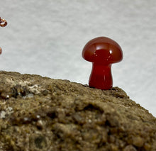Load image into Gallery viewer, Grossular Garnet Display with Ocean Jasper Spiderling
