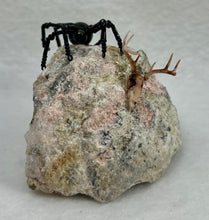 Load image into Gallery viewer, Quartz Geode Display with Rainbow Obsidian Spiderling