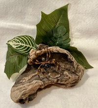 Load image into Gallery viewer, Beaded Smokey Quartz Spider