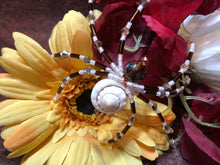 Load image into Gallery viewer, Beaded Shell Spider