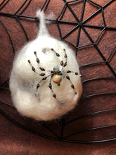 Load image into Gallery viewer, Beaded Sea Shell Spiderling