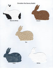 Load image into Gallery viewer, Handmade Custom Small Animal Cinnabon the Bunny Rabbit Blank Greeting Card