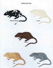 Load image into Gallery viewer, Handmade Custom Small Animal Rodney the Rat Blank Greeting Card