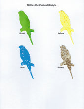 Load image into Gallery viewer, Handmade Custom Small Animal Skittles the Parakeet or Budgie Blank Greeting Card