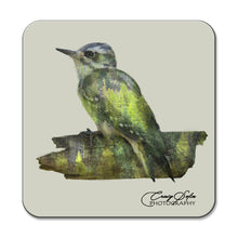 Load image into Gallery viewer, Set of Four Double Exposure Bird Photo Coasters