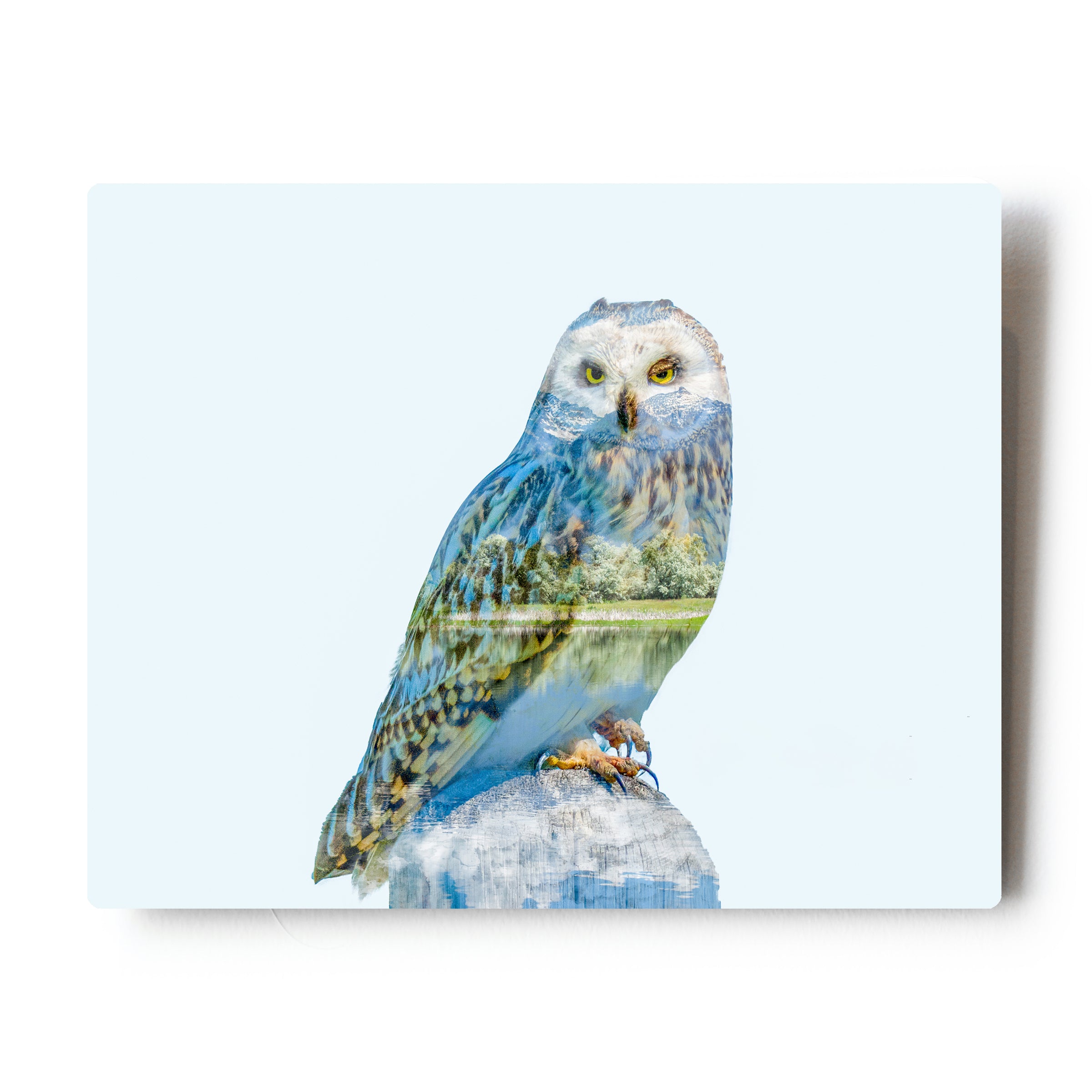 Printable Owl Feather Template