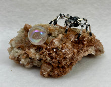 Load image into Gallery viewer, Aragonite Display with Snowflake Obsidian Spiderling
