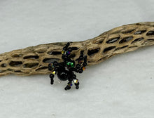 Load image into Gallery viewer, Hand Made Black Jumping Spider
