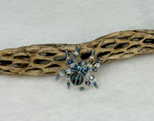 Load image into Gallery viewer, Hand Made Blue Striped Jumping Spider
