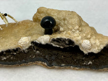 Load image into Gallery viewer, Calcite Display with Dalmatian Jasper Spiderling
