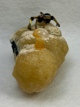 Load image into Gallery viewer, Calcite Display with Black Lava Spiderling
