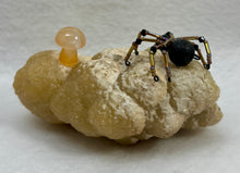 Load image into Gallery viewer, Calcite Display with Black Lava Spiderling
