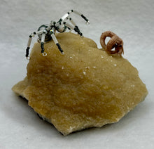 Load image into Gallery viewer, Calcite with Tree Agate Spiderling
