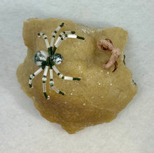 Load image into Gallery viewer, Calcite with Tree Agate Spiderling

