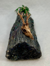 Load image into Gallery viewer, Carborundum Display with Green Jade Spiderling
