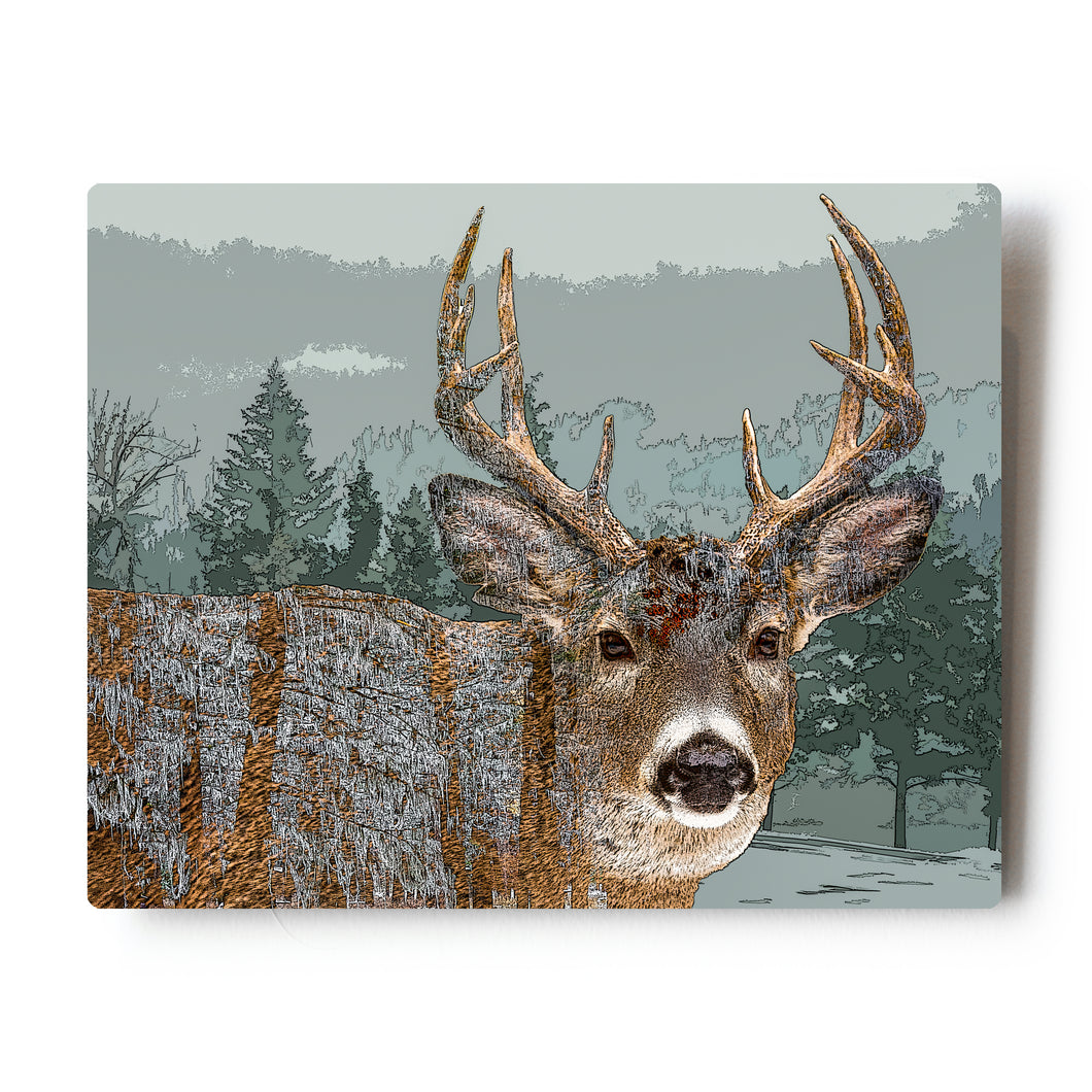 Triple Exposure White tailed Deer 8x10 Metal Print