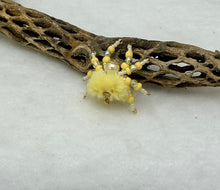 Load image into Gallery viewer, "Belle" Hand Made Pale Yellow Fuzzy Jumping Spider
