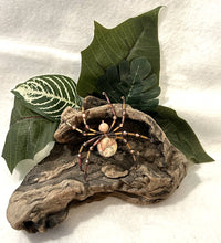 Load image into Gallery viewer, Beaded Picasso Jasper Spider
