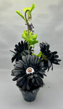 Load image into Gallery viewer, Black Daisy Eyeball Flower Pot with Purple Glass Mini Spider
