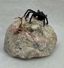 Load image into Gallery viewer, Quartz Geode Display with Rainbow Obsidian Spiderling
