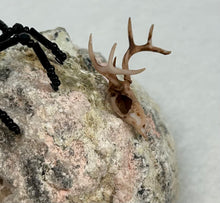 Load image into Gallery viewer, Quartz Geode Display with Rainbow Obsidian Spiderling
