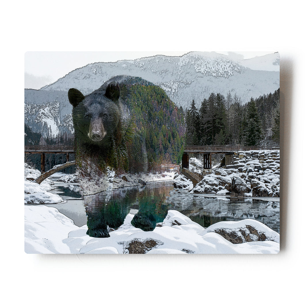 Triple Exposure Black Bear in Snow 8x10 Metal Print