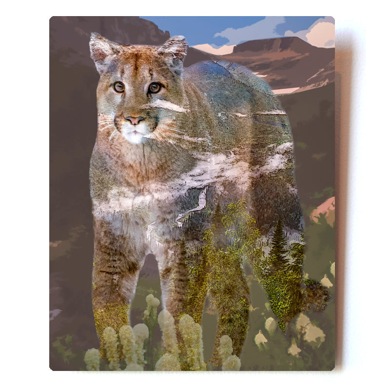 Triple Exposure Mountain Lion 8x10 Metal Print
