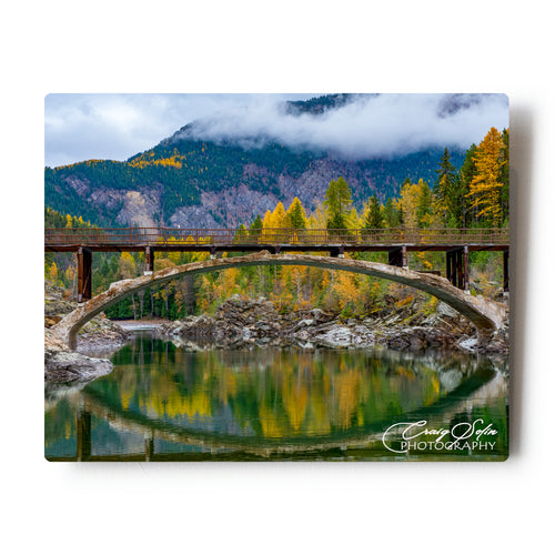 Fall Color Closeup At The Belton Bridge in Glacier National Park 8 X 10 Metal Print