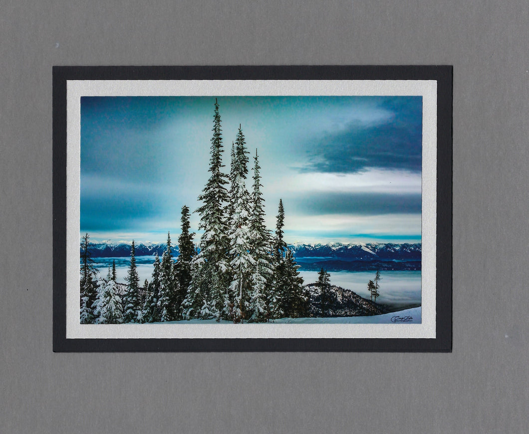 Handmade Photo Card of Snow Covered Trees Blacktail Mountain Blank Greeting Card