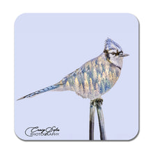 Load image into Gallery viewer, Set of Four Double Exposure Bird Photo Coasters
