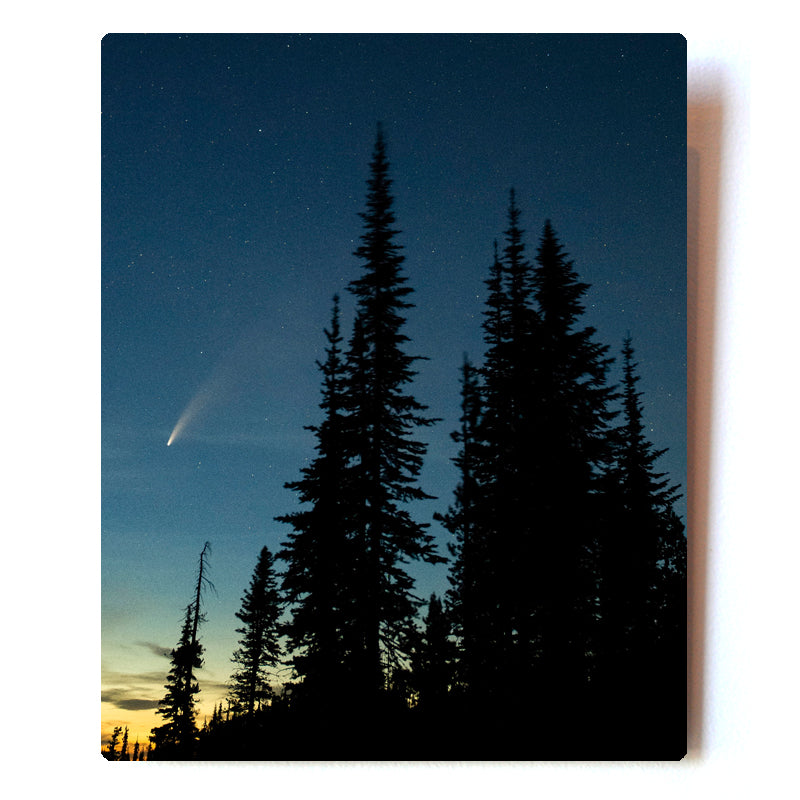 Comet Neowise photographed at 7000ft      8X10 Metal Print