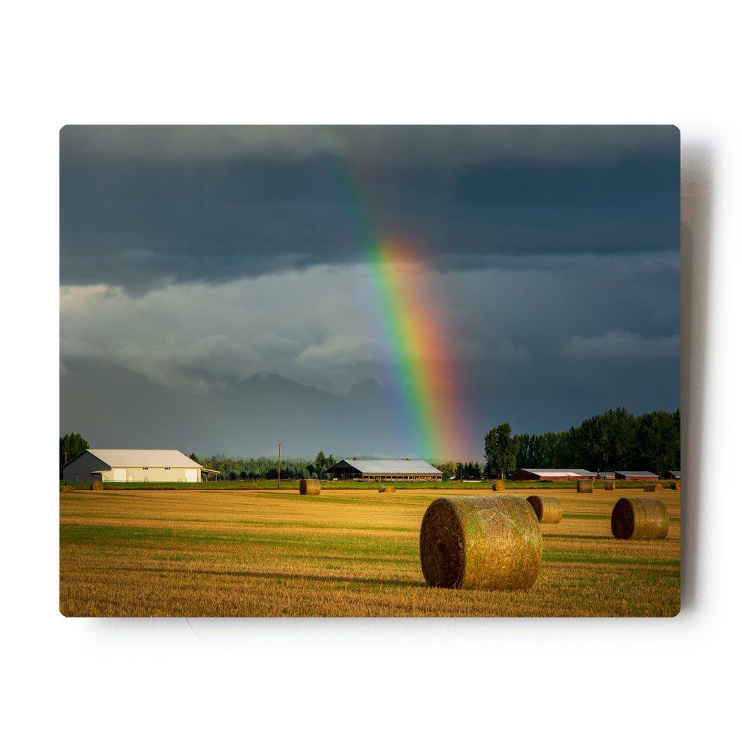 8 X 10 Photographic Metal Print Rainbow over Hay