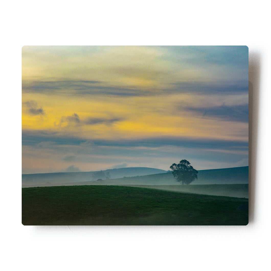 8 X 10 Photographic Metal Print Foggy Colors in Western Petaluma