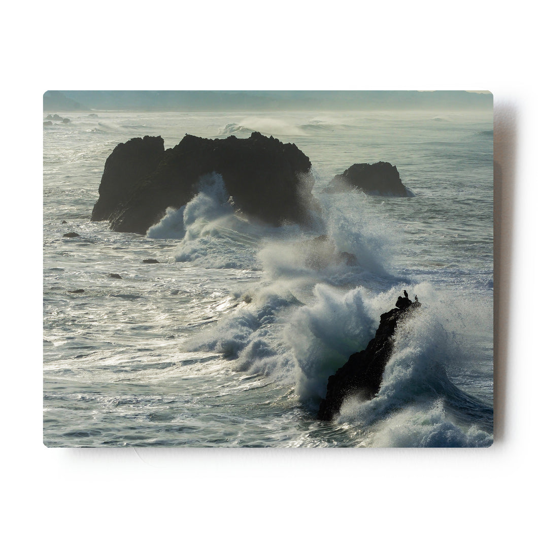 8 X 10 Photographic Metal Print Cormorants Brave the Waves along the Pacific Coast