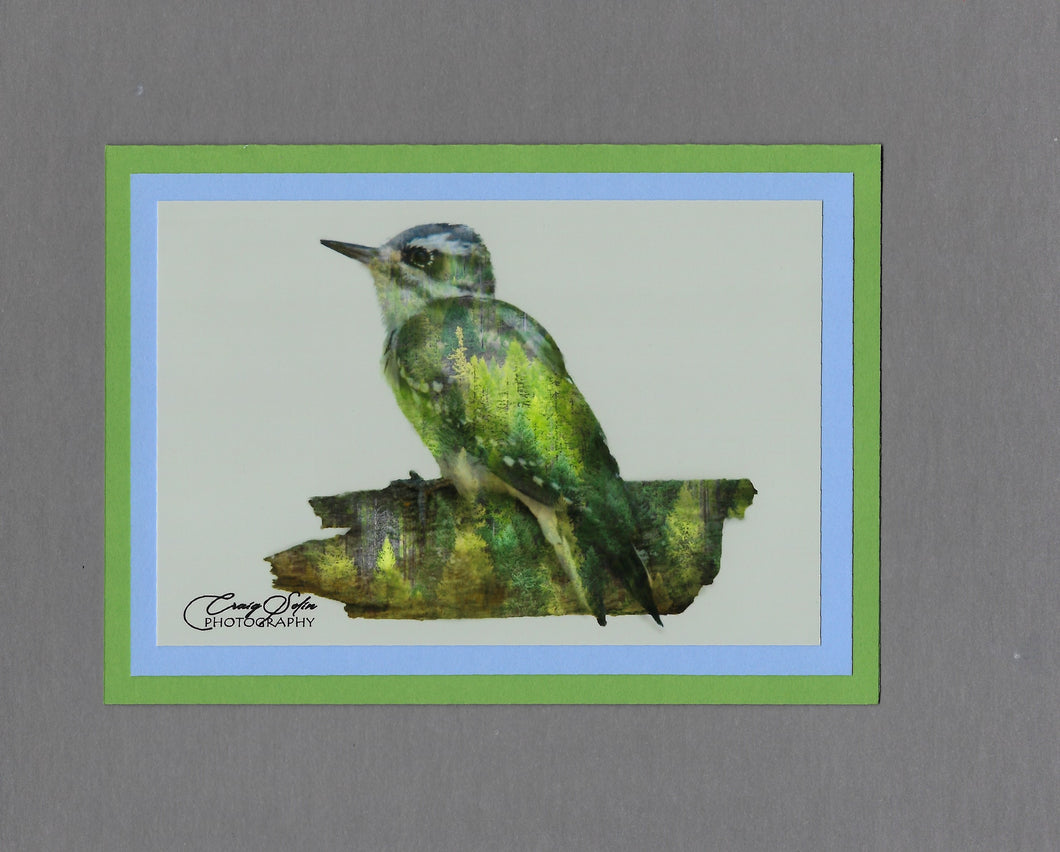Handmade Double Exposure Photo Cards Downy Woodpecker Blank Greeting Card