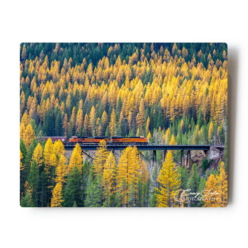 Fall Colors Freight Train Glacier National Park 8 X 10 Photographic Metal Print