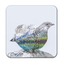 Load image into Gallery viewer, Set of Four Double Exposure Bird Photo Coasters

