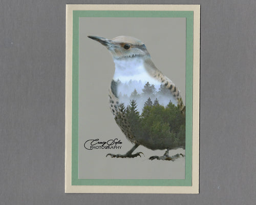 Handmade Double Exposure Photo Cards Northern Flicker Blank Greeting Card
