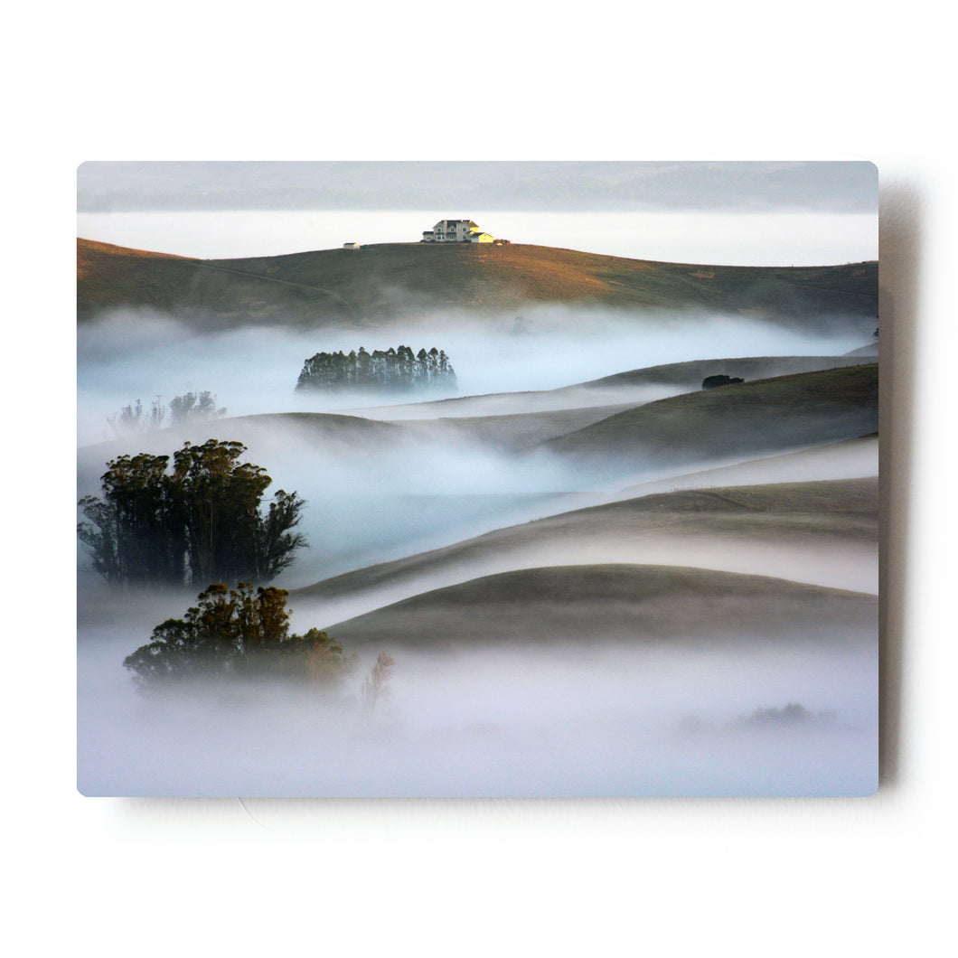 8 X 10 Photographic Metal Print Foggy Madness in the Petaluma Hills