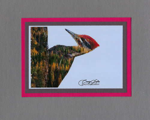 Handmade Double Exposure Photo Cards Pileated Woodpecker Blank Greeting Card