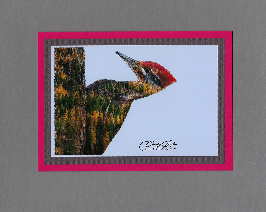 Handmade Double Exposure Photo Cards Pileated Woodpecker Blank Greeting Card