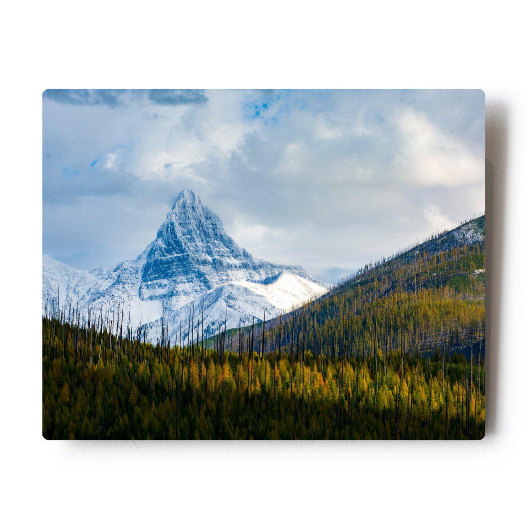 Fall St Nicholas Glacier National Park 8X10 Metal Print