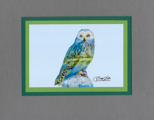Handmade Double Exposure Photo Cards Short-eared Owl Blank Greeting Card