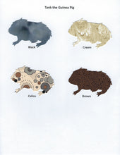 Load image into Gallery viewer, Handmade Custom Small Animal Tank the Guinea Pig Blank Greeting Card
