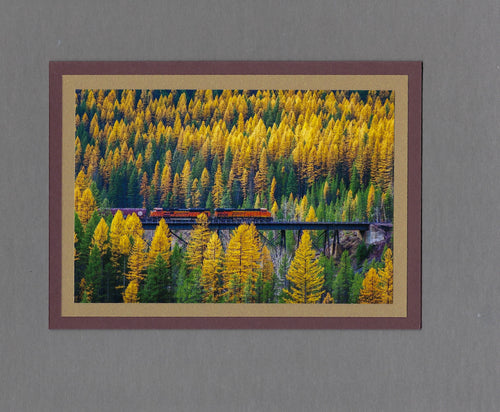 Handmade Photo Freight Train in Fall Larches Blank Greeting Card