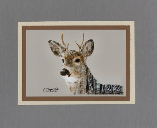 Handmade Double Exposure Photo Cards Whitetail Deer Blank Greeting Card